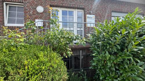 Wohnung 3 in der 1.Etage
