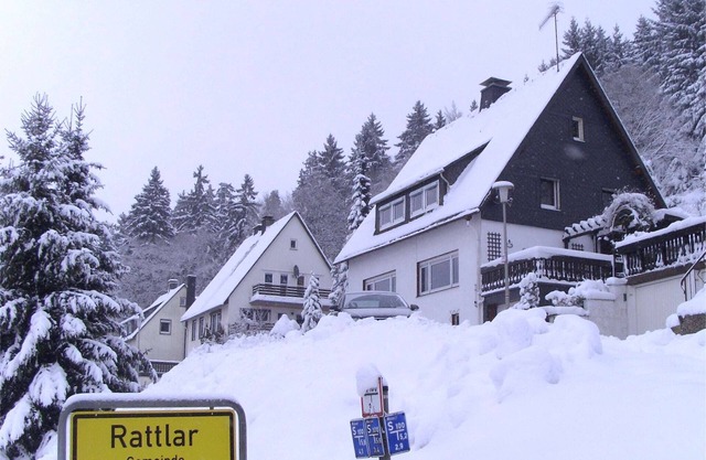 Wohnung bei Willingen für Wintersport