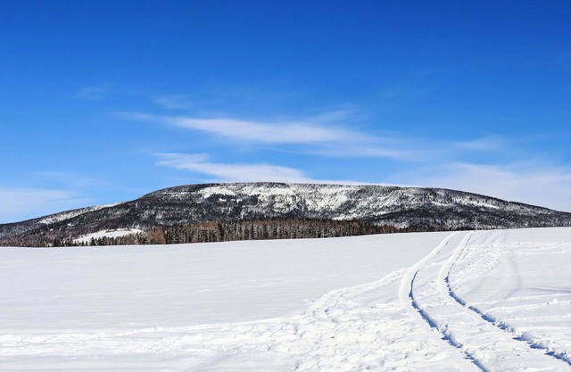 Wonderful private villa for 8 guests with WIFI, TV, terrace, pets allowed and parking