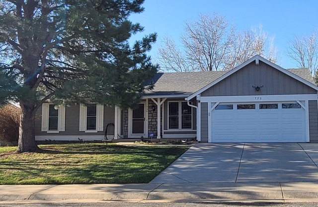 WONDERFUL RANCH-Louisville-gas F.P. on back patio/H.S. Int-GAS F/P Living Room.