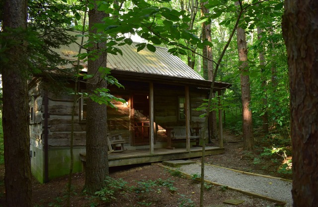 Woodland view-Red Log Cabin