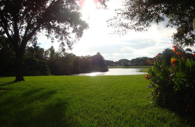 WOW - like staying in a park: beautiful lakefront, private heated pool in Tampa!