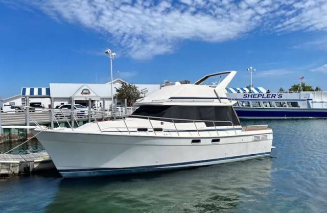 Yachts of Fun