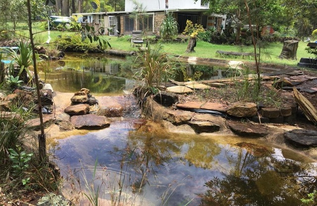 Yamba Hinterland bush retreat - Vintage bus stay