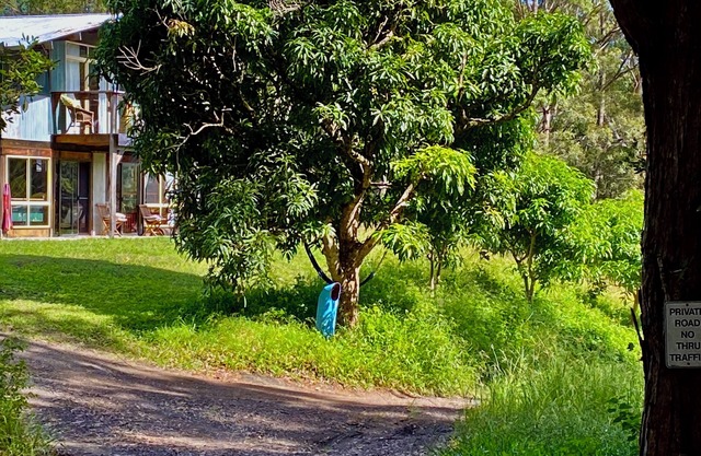 Yarrahapinni Off Grid nSpacious & cosy.nClose to Beach & National Park