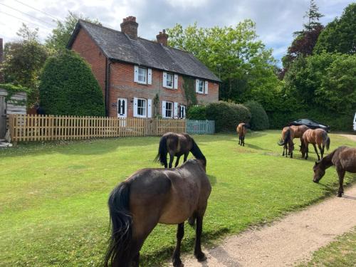 Yew Tree Cottage