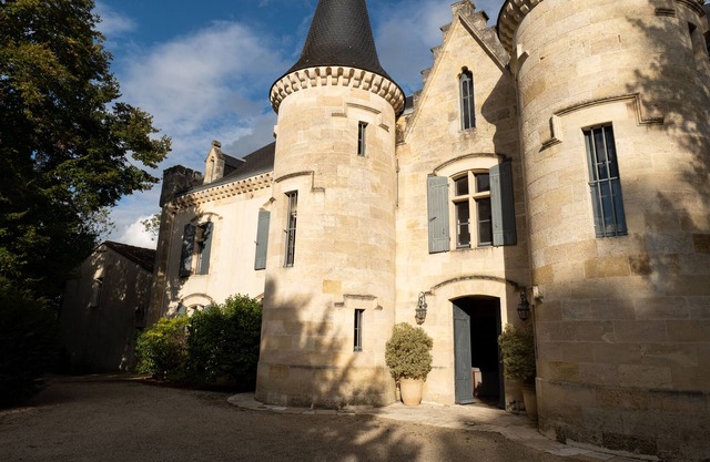 Your charming castle in the vineyards -