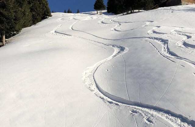 Your vacation apartment in Damüls Faschina | SKI IN /SKI OUT