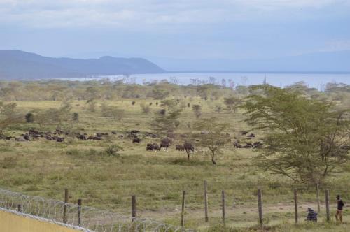 Yvonne furnished home