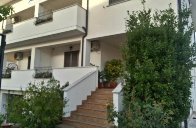 Zama Bed&Breakfast