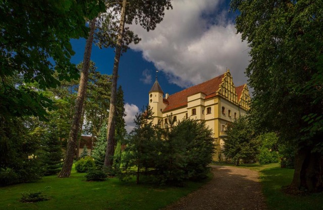 Zamek w Czernej