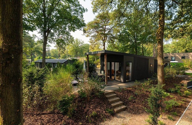 Zand Lodge is a charming chalet for 6 people in the Veluwe, featuring a warm wooden interior, a fully equipped kitchen, and a covered terrace.