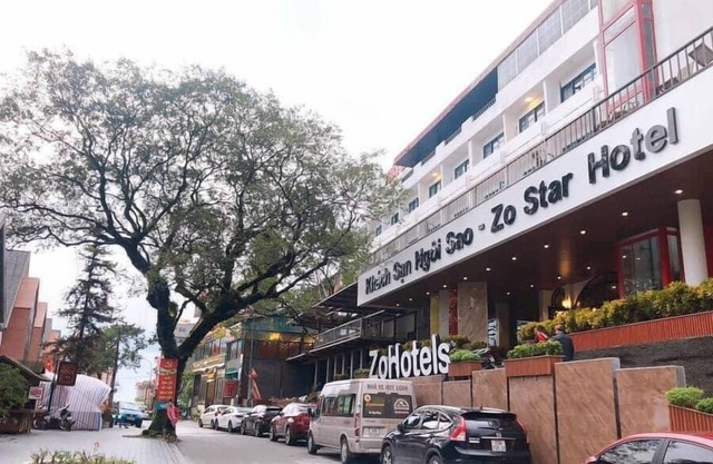 ZO Star Tam Dao