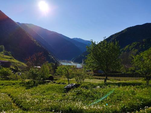 Uzungol House | Çay Pansiyon