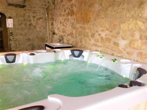 Les Essards House | Élégante Demeure 17e avec Spa, Sauna et Authentique Cheminée, proche Châteaux de la Loire - FR-1-381-348