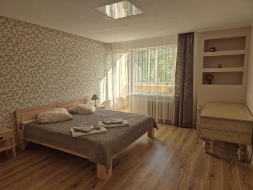 Druskininkai Apartment | Čiurlionis Apartment Druskininkai
