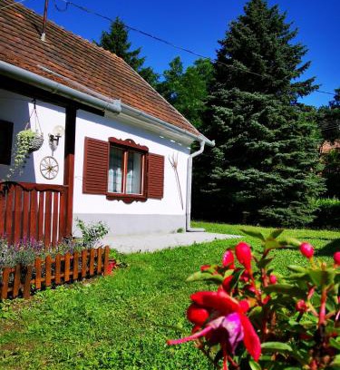 Hegyhatszentjakab House | Őrség Kincse Nagy Apartman - 6 főre