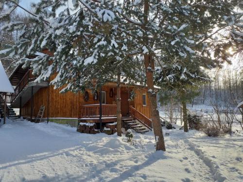 gmina Brzostek House | Świerkowe Rancho