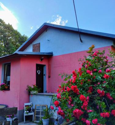 Jesenik House | Štempel Karol , Bělá pod Pradědem, Domašov 412