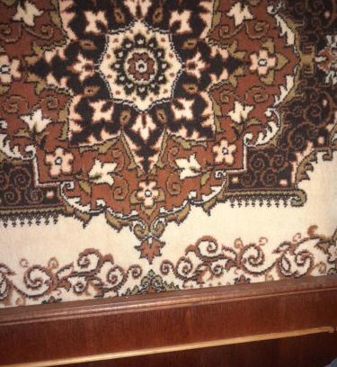 Khmelnytskyi Oblast Cabin | Будиночок біля лісу