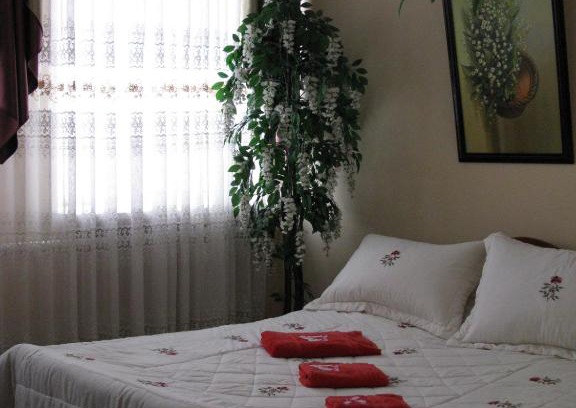 Kirovohrads'ka oblast Hotel | гостиница Лилия