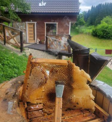 Roztoky House | Забрус насолоди