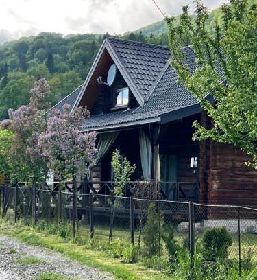 Snidavka House | Заворіття