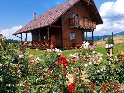 Vorokhta Apartment | Карпатська Модринка