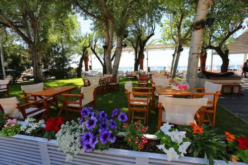 Flogita Apartment | Квартира Халкидики Флогита/Ferienwohnung Chalkidiki Griechenland