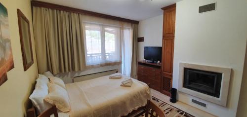 Shiligarnika Apartment | Луксозно студио в Банско - малко кътче от рая.