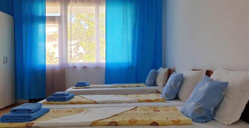 Obzor House | Майстор Костадин - 1878