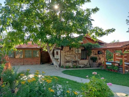 Dalgopo House | Мехса