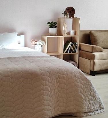 Desnyans'kyi District Apartment | Однокімнатна на Троєщині