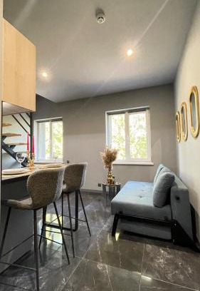 Chernovtsy Apartment | Просторий апартамент для 3 осіб N3