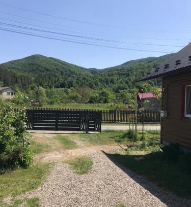 Snidavka House | Ромашка