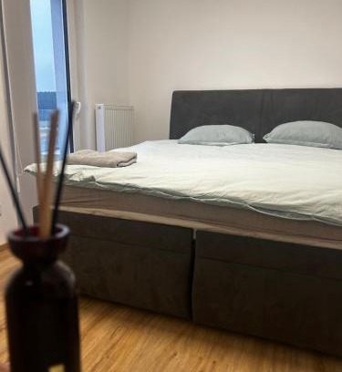 Zbuch Apartment | Сучасні номера біля Плзня