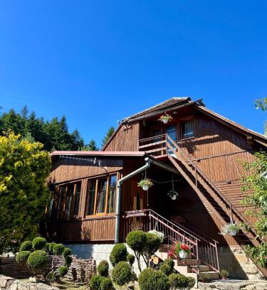 Skole Cabin | Хвиля Гір