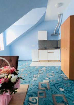 Uzhhorod Apartment | Червона Ружа