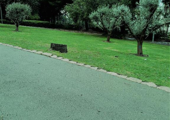 Haifa Apartment | דירת 3 חדרים מקסימה באחוזה