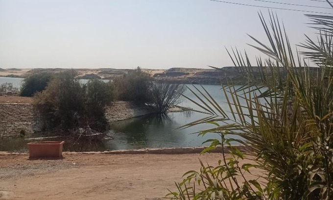 Abu Simbel Bed & Breakfast | آمون ابوسمبل