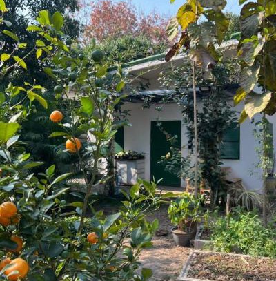 Wang Thong House | บ้านมะลิ