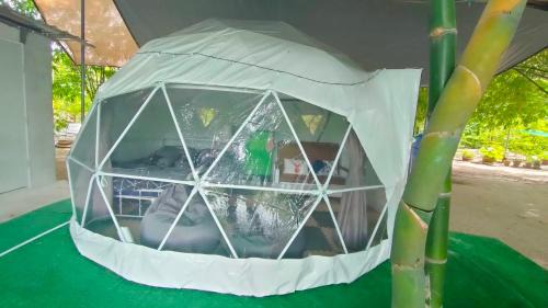 Chonburi Other | สวนบ้านเราแคมป์ Our Garden Camp