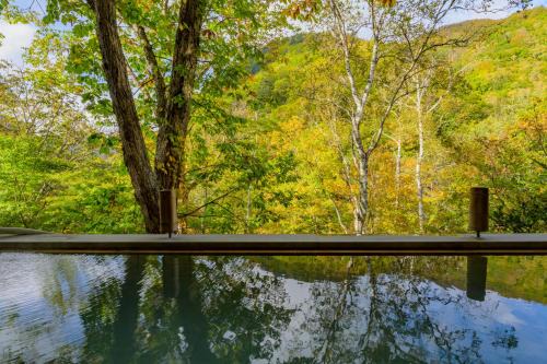 Shiga Highlands Hotel | 志賀高原 白い温泉 渓谷の湯