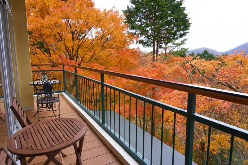Hakone House | 美術の宿 箱根もみじの森
