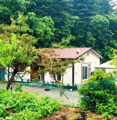 Seorak Apartment | 숲속 하얀산장