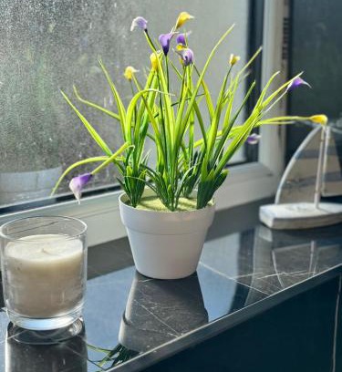 Oxford House | 1 bed with kitchenette and bathroom