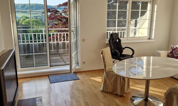 Grinzing Apartment | 1-bedroom apartment Vienna, Austria with WiFi and View and walking to vineyards