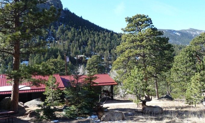 Estes Park Apartment | 1-bedroom plus wall-bed sleeps 4, just 15-minute walk to Historic Estes Park