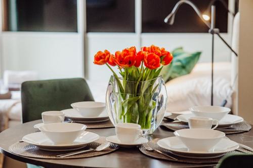 Jelenia Gora Apartment | 1 Maja 76