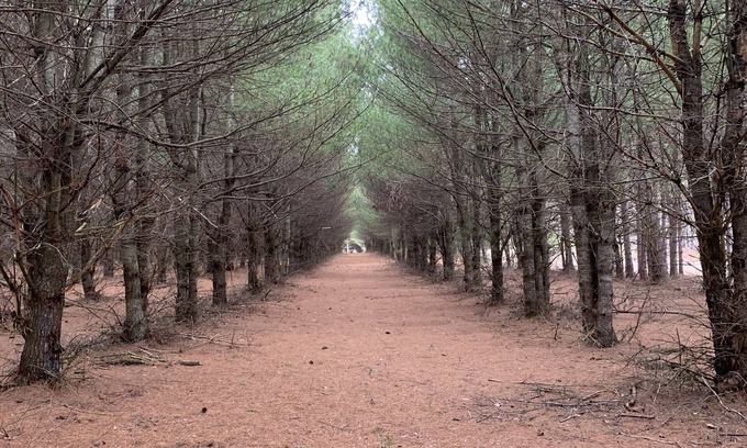 Herron Cabin | 100 acre property trails and a cozy cabin